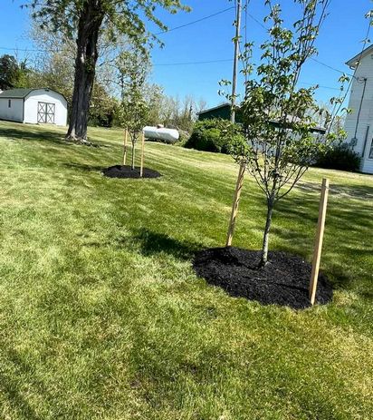 KG Landscaping Maintenence