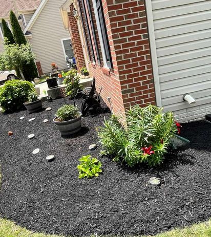 KG Landscaping Maintenence